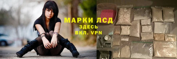 твердый Михайлов