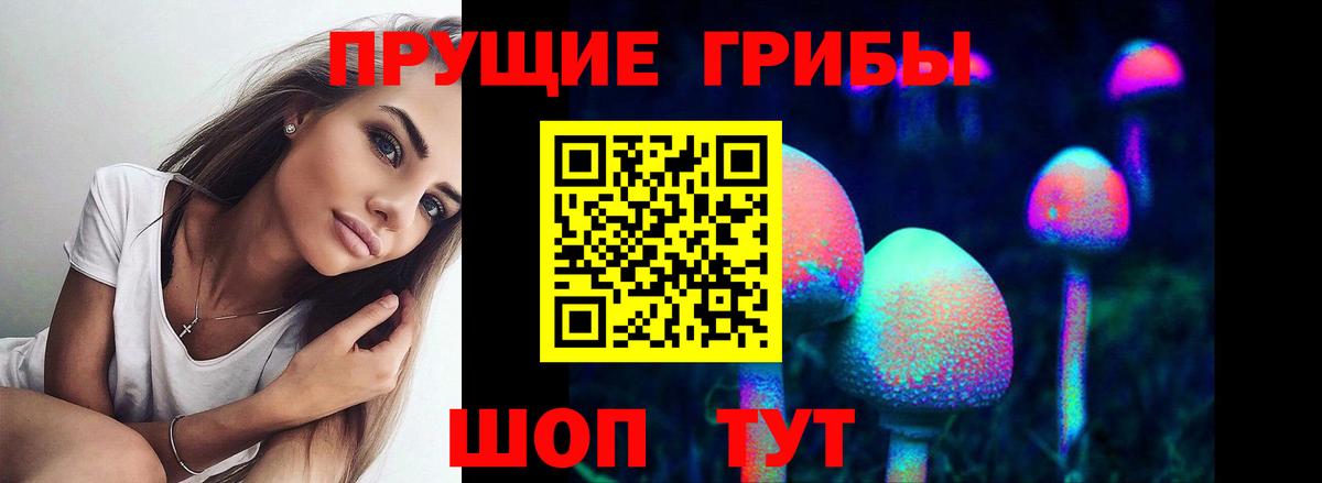 Псилоцибиновые грибы мухоморы  где продают наркотики  Торжок  Вход с VPN  Псилоцибиновые грибы Psilocybine cubensis 