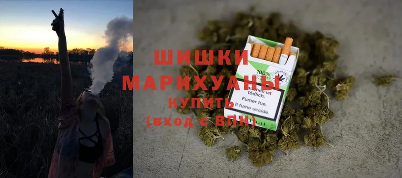 гидра   Торжок  Каннабис OG Kush 